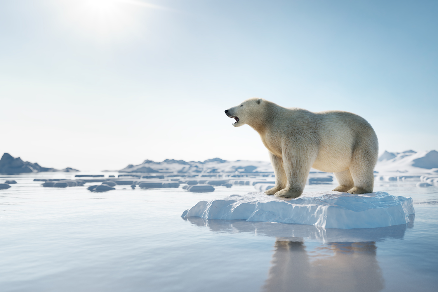 Global Warming Global Warming