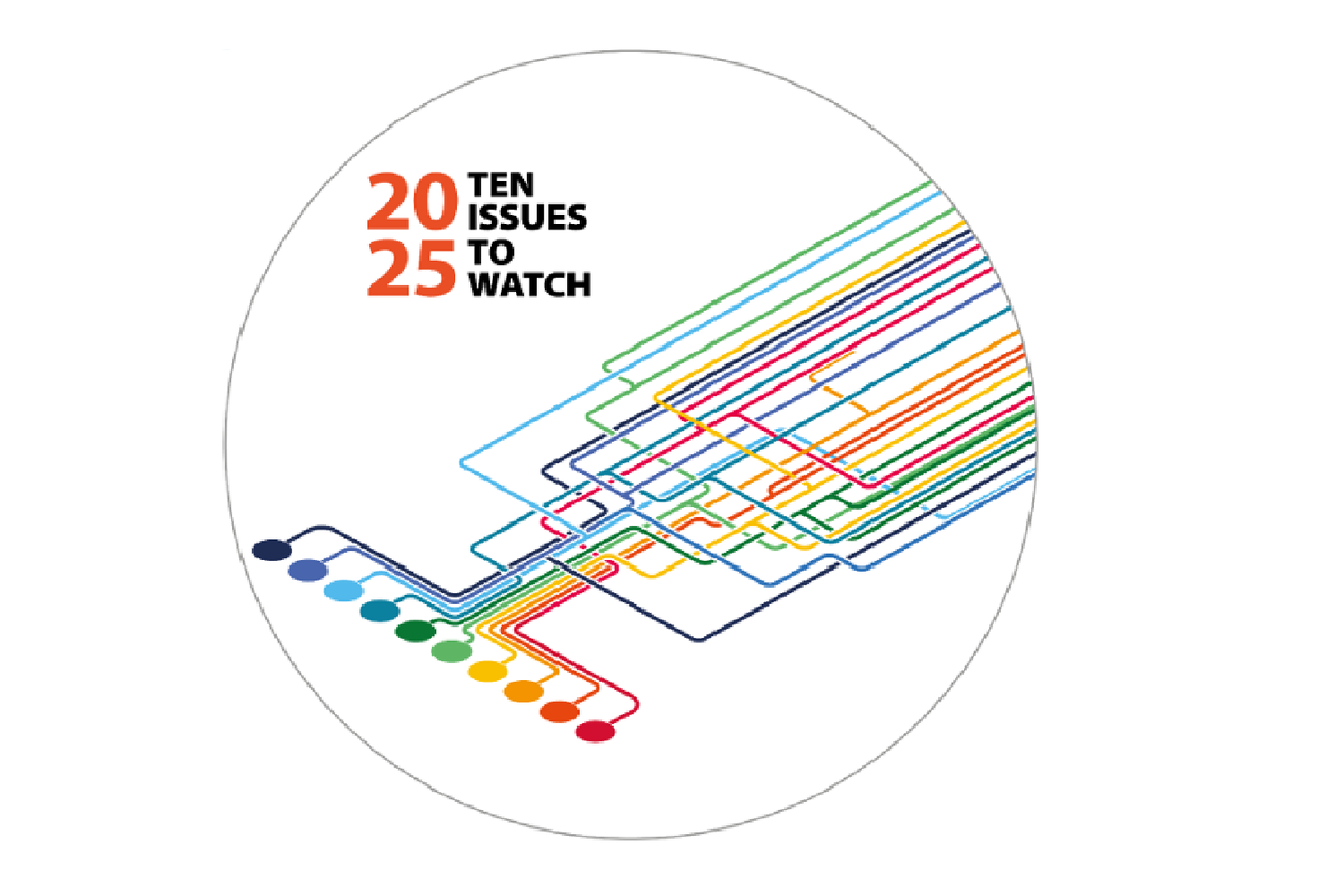 2025 issues to watch 2025 issues to watch